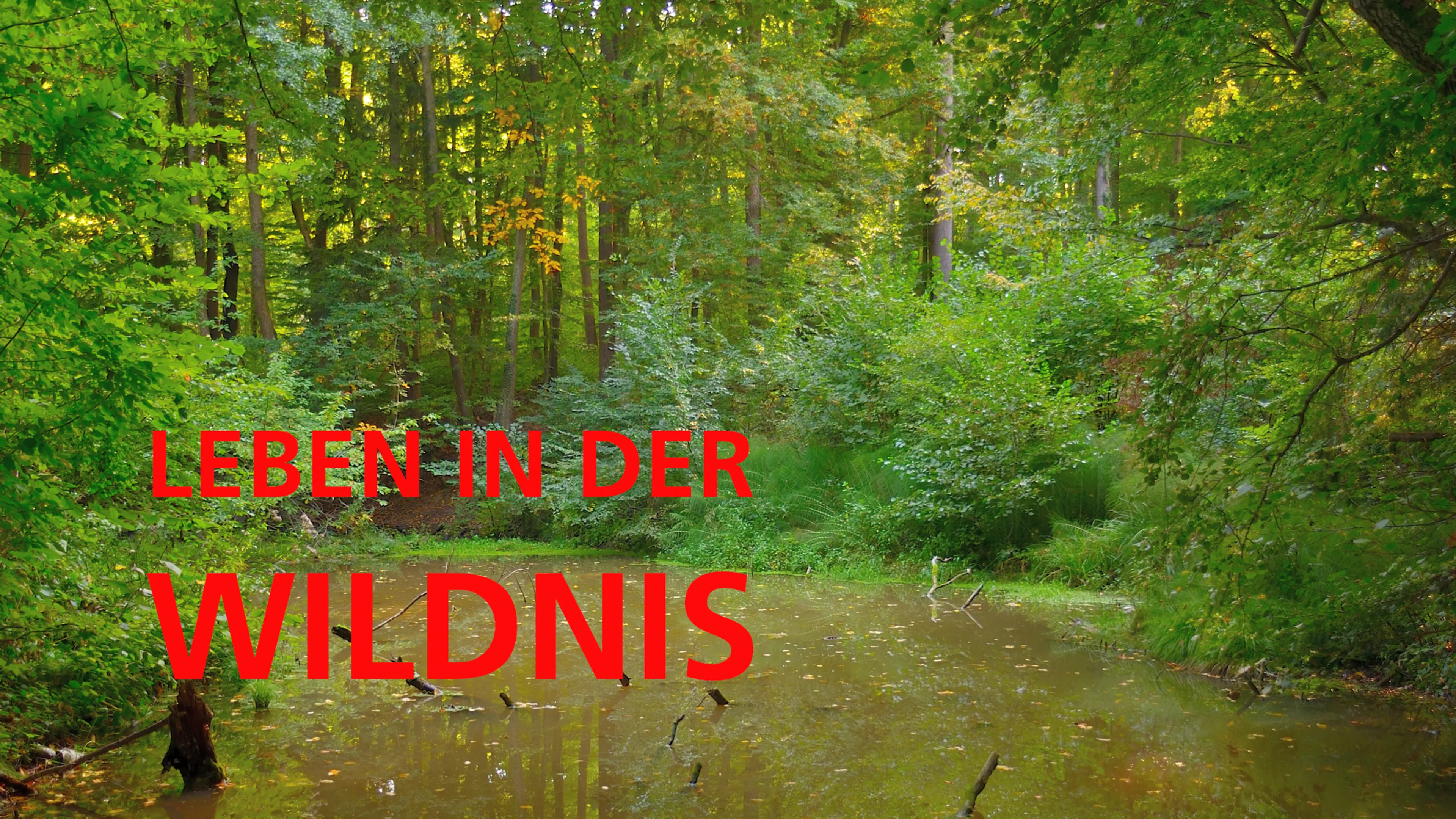 Leben in Der Wildnis poster